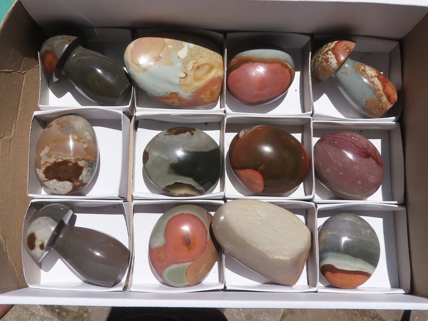 Polished Polychrome / Picasso Jasper Mushrooms & Palm Stones  x 12 From Madagascar - TopRock