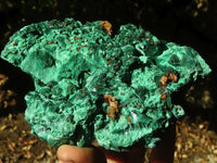 Natural Chatoyant Silky Malachite Specimens  x 2 From Kasompe, Congo - Toprock Gemstones and Minerals 