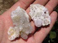 Natural Small Spirit Quartz Clusters  x 35 From Boekenhouthoek, South Africa - TopRock