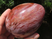 Polished Petrified Red Podocarpus Wood Bowl & Egg Set x 2 From Mahajanga, Madagascar - TopRock