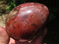 Polished Petrified Red Podocarpus Wood Bowl & Egg Set x 2 From Mahajanga, Madagascar - TopRock