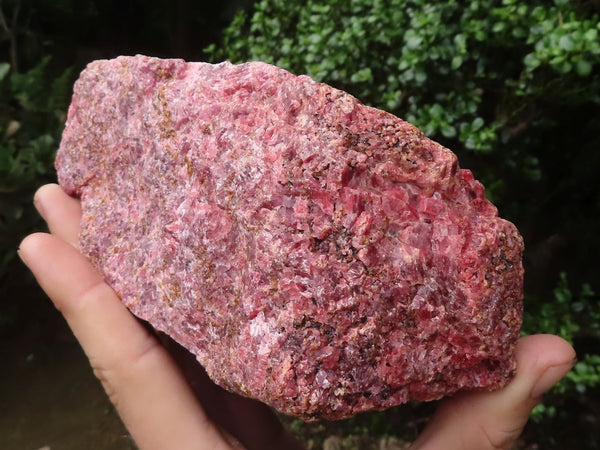 Natural Selected Red Rhodonite Rough Specimens  x 2 From Zimbabwe - TopRock
