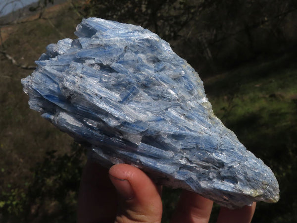 Natural Blue Kyanite Crystals In Schist Specimens  x 6 From Karoi, Zimbabwe - TopRock
