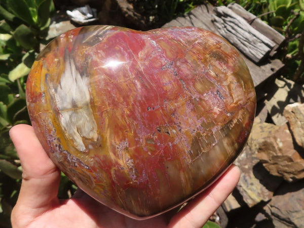 Polished Extra Large Petrified Red Podocarpus Wood Heart  x 1 From Mahajanga, Madagascar - TopRock