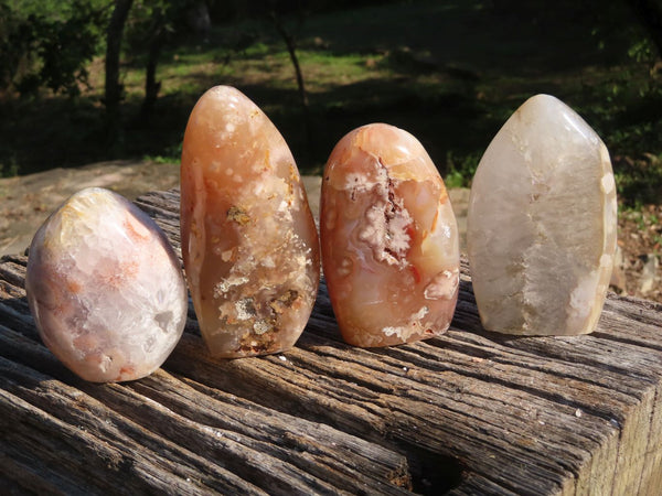 Polished Coral Flower Agate Standing Free Forms x 4 From Antsahalova, Madagascar - TopRock