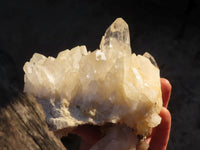 Natural White Quartz Crystal Clusters x 2 From Zambia - Toprock Gemstones and Minerals 