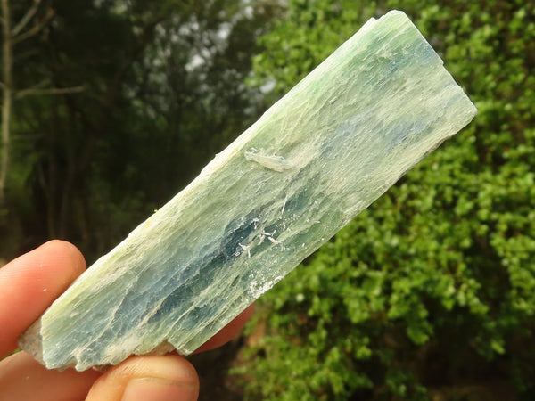 Natural Blue Green Kyanite Crystals  x 21 From Zimbabwe - Toprock Gemstones and Minerals 
