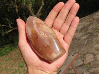Polished Coral Flower Agate Standing Free Forms x 4 From Antsahalova, Madagascar - TopRock