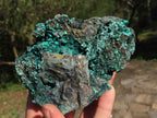 Natural Crystalline Malachite Specimens x 2 From Congo - TopRock