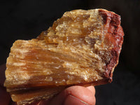 Natural Honey Aragonite Etched & Cobbed Pieces  x 24 From Namibia - Toprock Gemstones and Minerals 