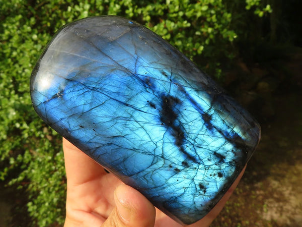 Polished Stunning Labradorite Standing Free Forms With Full Face Flash  x 2 From Tulear, Madagascar - Toprock Gemstones and Minerals 