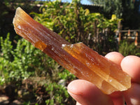 Natural Honey Aragonite Etched & Cobbed Pieces  x 24 From Namibia - Toprock Gemstones and Minerals 