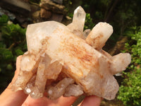 Natural Mixed Quartz Crystal Clusters  x 6 From Madagascar - Toprock Gemstones and Minerals 