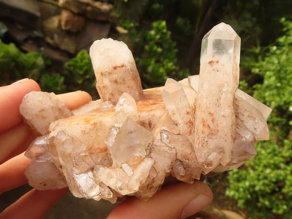 Natural Mixed Quartz Crystal Clusters  x 6 From Madagascar - Toprock Gemstones and Minerals 
