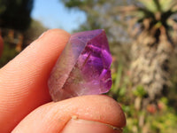 Natural Smokey Chiredzi Amethyst Crystals & Double Terminated Scepters x 12 From Chiredzi, Zimbabwe - Toprock Gemstones and Minerals 