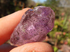 Natural Small Chiredzi Amethyst / Smokey Quartz Crystals - sold per 500g - From Chiredzi, Zimbabwe - Toprock Gemstones and Minerals 