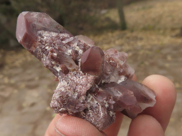 Natural Selected Red Hematoid Phantom Quartz Crystals  x 35 From Karoi, Zimbabwe - TopRock
