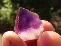 Natural Smokey Chiredzi Amethyst Crystals & Double Terminated Scepters x 12 From Chiredzi, Zimbabwe - Toprock Gemstones and Minerals 