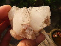 Natural Mixed Quartz Crystal Clusters  x 6 From Madagascar - Toprock Gemstones and Minerals 