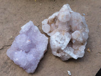 Natural Mixed Spirit Quartz Clusters  x 12 From Boekenhouthoek, South Africa - TopRock