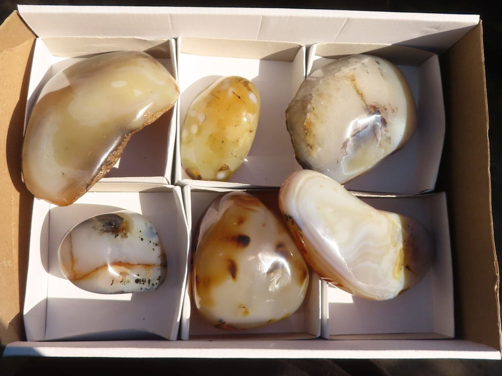 Polished One Side Polished Agate Nodules x 6 From Madagascar - Toprock Gemstones and Minerals 