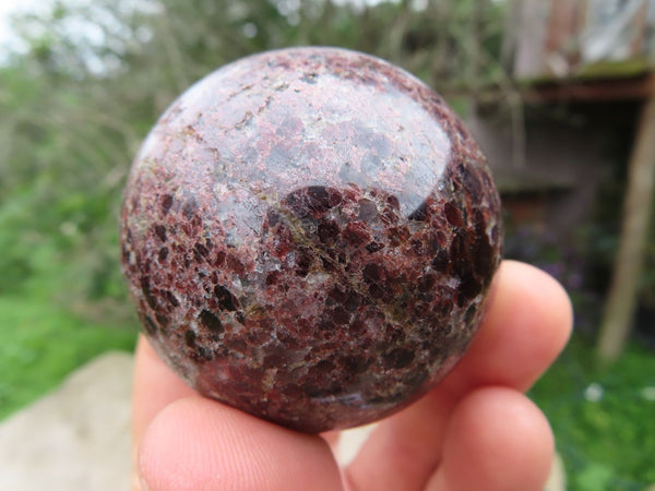 Polished Blood Red Specular Gemmy Garnet Spheres x 12 From Madagascar - TopRock