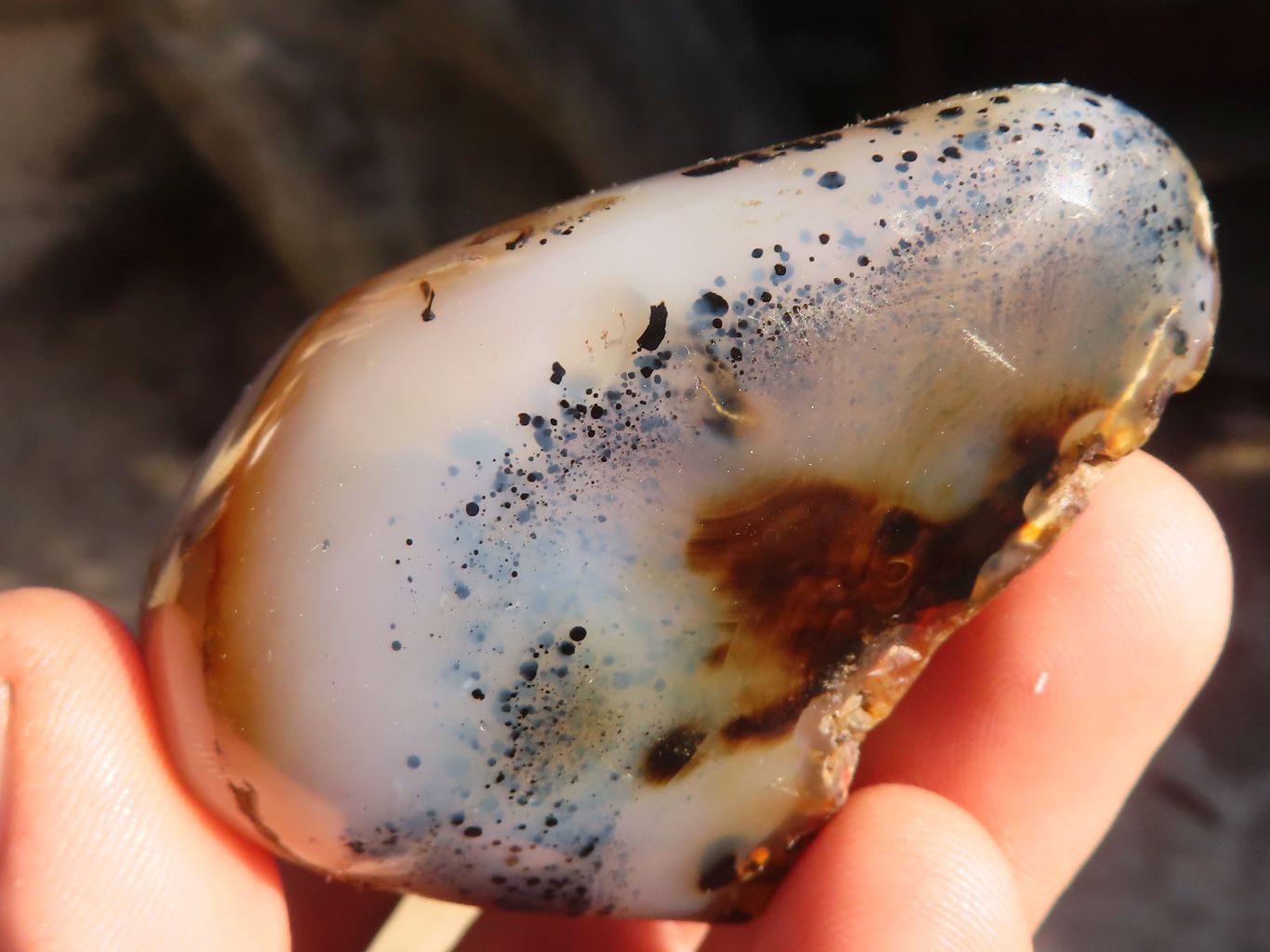 Polished One Side Polished Agate Nodules x 6 From Madagascar - Toprock Gemstones and Minerals 