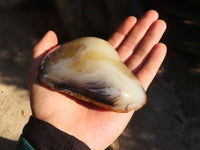 Polished One Side Polished Agate Nodules x 6 From Madagascar - Toprock Gemstones and Minerals 