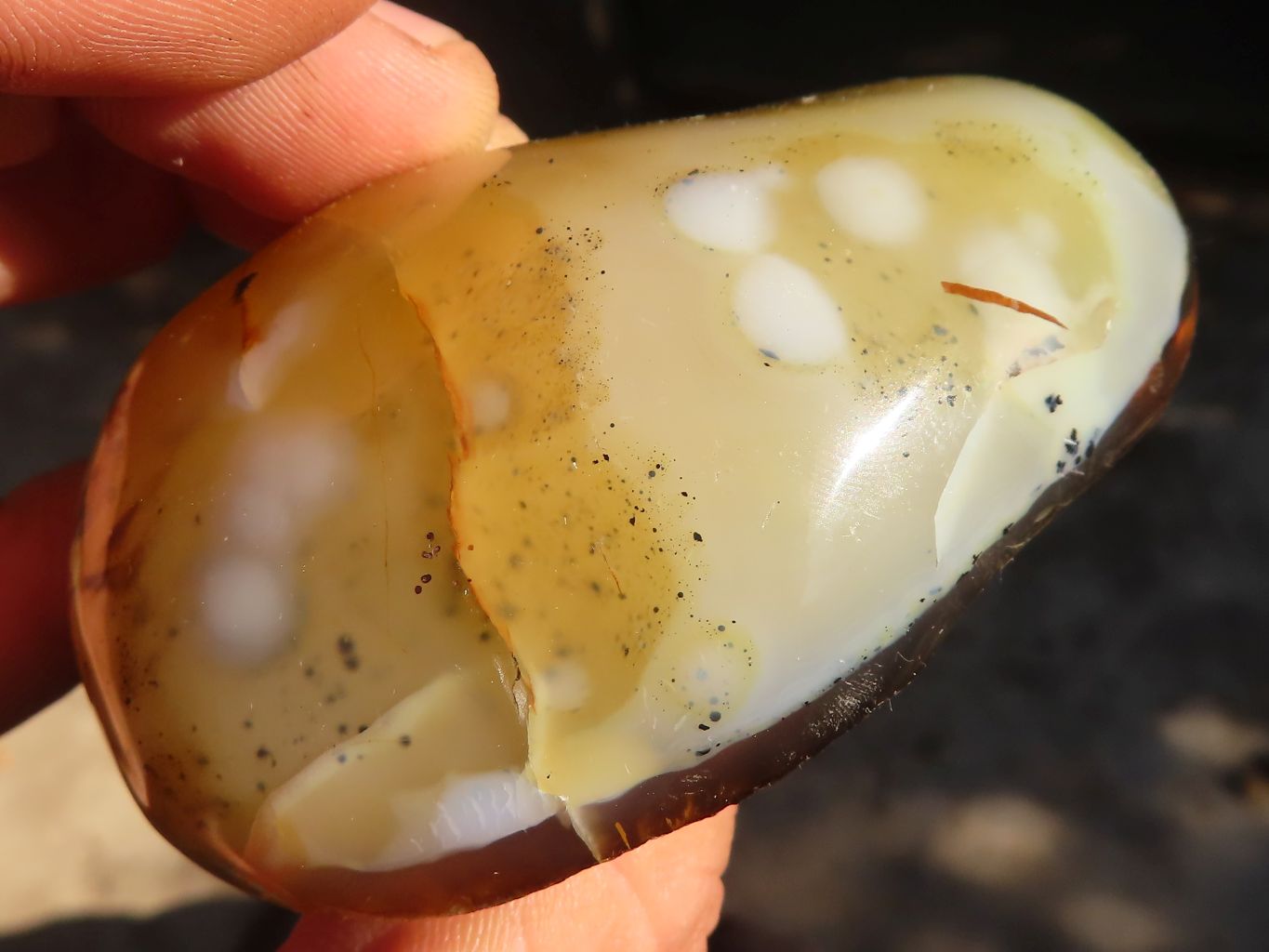 Polished One Side Polished Agate Nodules x 6 From Madagascar - Toprock Gemstones and Minerals 