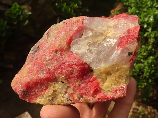 Natural Rough Pink Rhodonite Specimens  x 4 From Zimbabwe - Toprock Gemstones and Minerals 