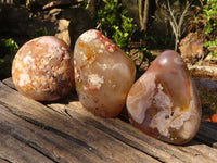 Polished Ocean  Flower Agate Standing Free Forms  x 3 From Madagascar