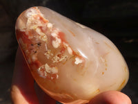 Polished Ocean  Flower Agate Standing Free Forms  x 3 From Madagascar