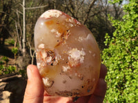 Polished Ocean  Flower Agate Standing Free Forms  x 3 From Madagascar