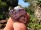 Natural Small Smokey Amethyst Crystals  x 35 From Chiredzi, Zimbabwe - Toprock Gemstones and Minerals 