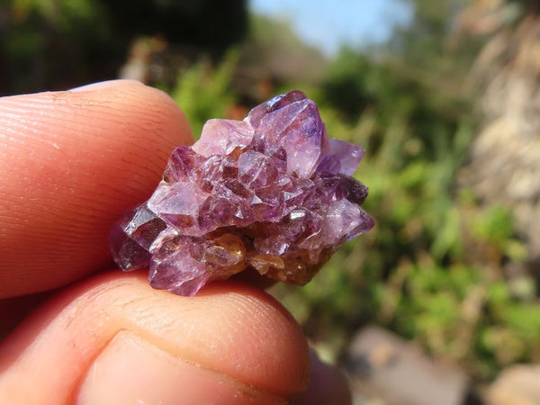 Natural Small Mixed Spirit Quartz Crystals  x 138 From Boekenhouthoek, South Africa