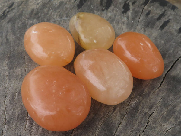 Polished Vibrant Orange Twist Calcite Palm Stones  x 20 From Madagascar - TopRock