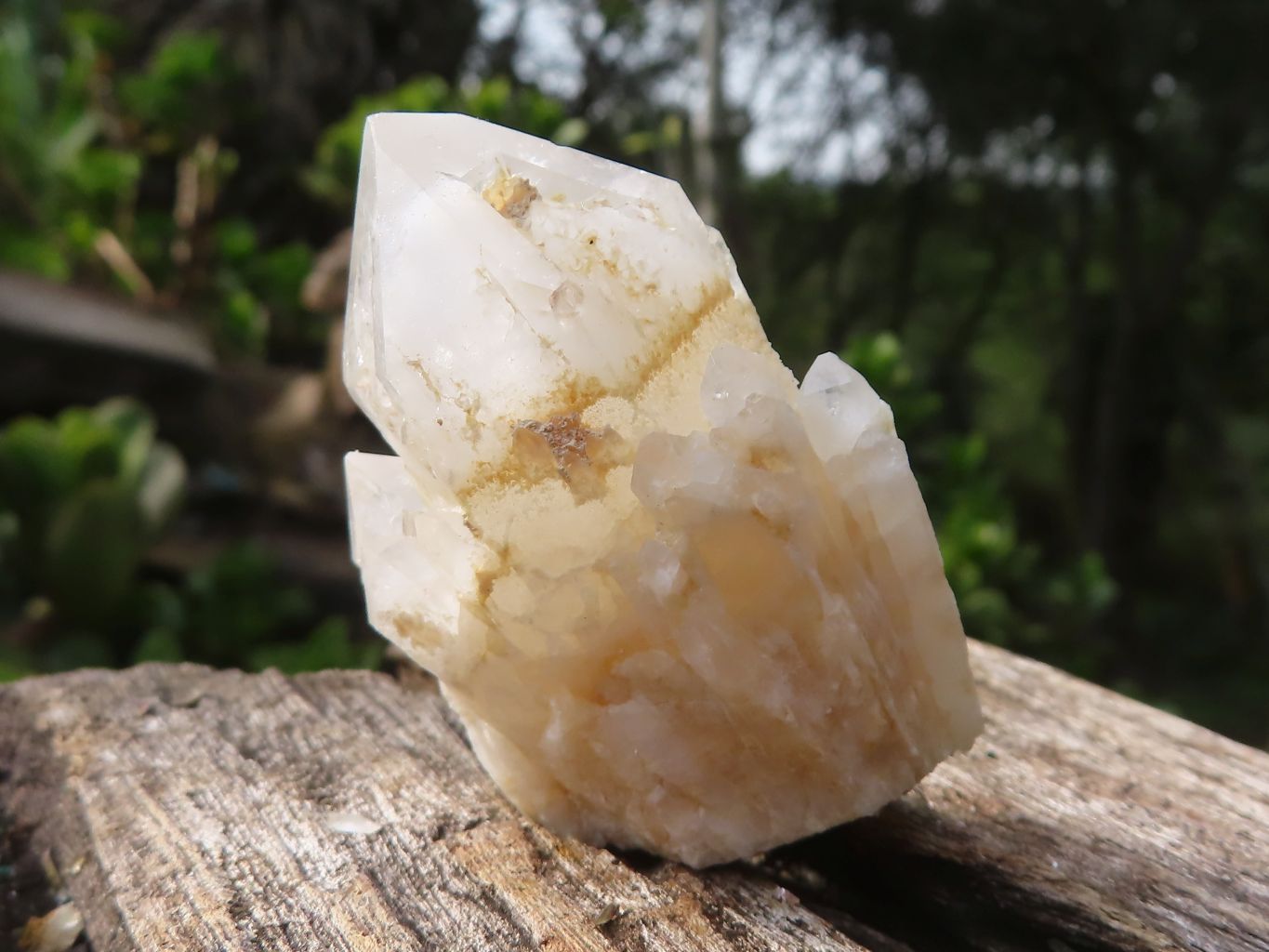 Natural Highly Selected "Cathedral Peak" Quartz Crystals  x 14 From Madagascar - Toprock Gemstones and Minerals 