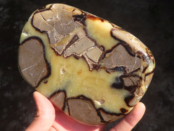 Polished Septerye Free Form Slices   x 3 From Mahajanga, Madagascar