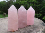 Polished Rose Quartz Crystal Points x 3 From Ambatondrazaka, Madagascar - TopRock