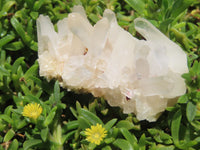 Natural Small mixed Hue Quartz Cluster Specimens  x 24 From Madagascar - TopRock