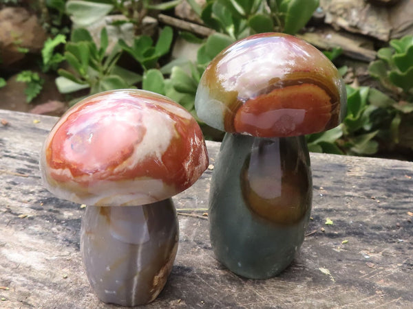 Polished Polychrome / Picasso Jasper Mushrooms  x 6 From Madagascar - TopRock