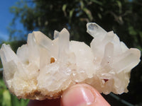 Natural Small mixed Hue Quartz Cluster Specimens  x 24 From Madagascar - TopRock