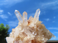 Natural Small mixed Hue Quartz Cluster Specimens  x 24 From Madagascar - TopRock