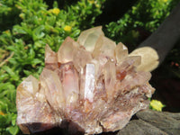 Natural Small mixed Hue Quartz Cluster Specimens  x 24 From Madagascar - TopRock