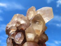 Natural Small mixed Hue Quartz Cluster Specimens  x 24 From Madagascar - TopRock