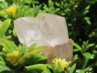 Natural Small mixed Hue Quartz Cluster Specimens  x 24 From Madagascar - TopRock