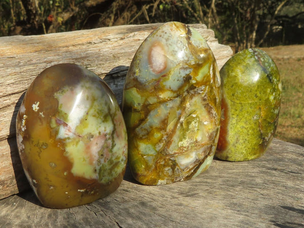 Polished Trio Of Uniquely Brecciated Green Opal Standing Free Forms  x 3 From Antsirabe, Madagascar - TopRock
