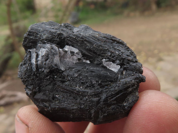Natural Small Single Black Tourmaline / Schorl Crystals  x 63 From Zambia - TopRock