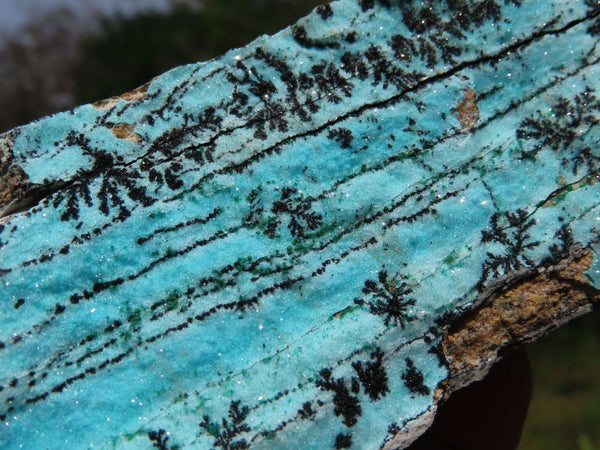 Natural Drusy Coated Chrysocolla With Malachite & Dendrites  x 3 From Likasi, Congo - TopRock