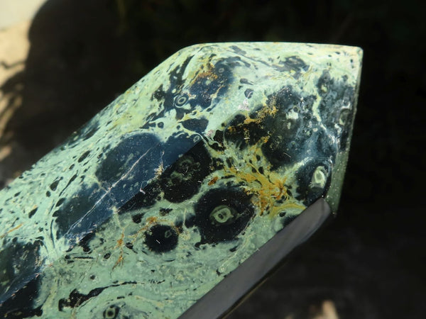 Polished Large Stromatolite / Kambamba Jasper Point  x 1 From Madagascar - TopRock